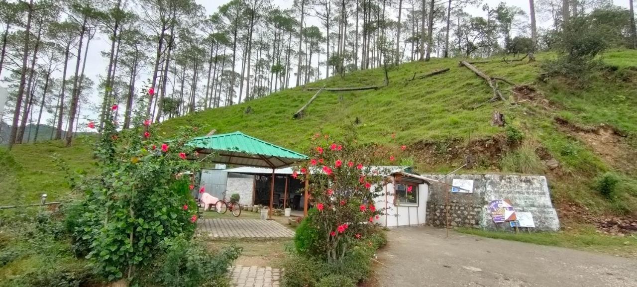 The Green Pine Cottage Lansdowne Exteriör bild